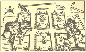 Kitchen Garden Woodcut